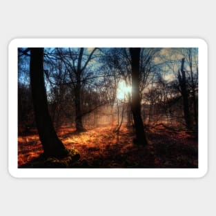 Autumn in Epping Forest Sticker